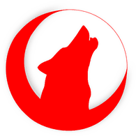 CODE emblem