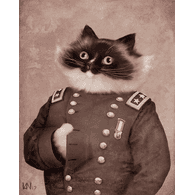 _CATS emblem