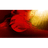 SIH4 emblem