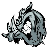 D_S_A emblem