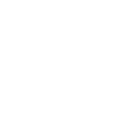 -EVO- emblem