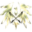 JSTCE emblem