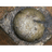 MEURT emblem