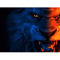 -UALV emblem