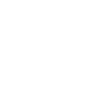 SAS_A emblem