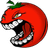 CSTR_ emblem