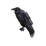 -STRV emblem
