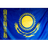 MAMIR emblem