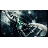 SAV_ emblem