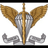 DHSV emblem