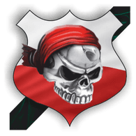 303_B emblem