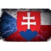 CS-RE emblem