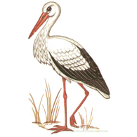 ANST emblem