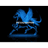 PGSS emblem