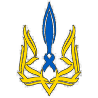 3Y6 emblem