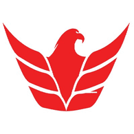DELAY emblem
