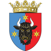 SV19 emblem