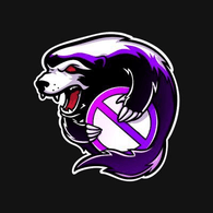 IDERS emblem