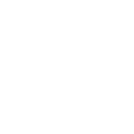 F150 emblem