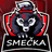 SV-CZ emblem
