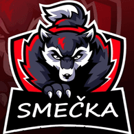SV-CZ emblem