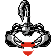 SDVSN emblem