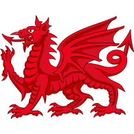 WDRGN emblem