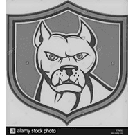 GERN emblem