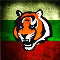 BG-ST emblem