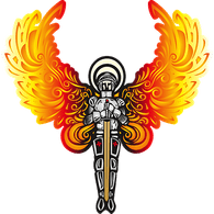 _DVR emblem