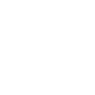 LVL emblem
