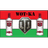 ACE12 emblem