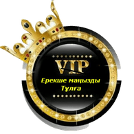 V1PKZ emblem
