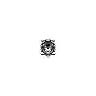 ZSPH emblem