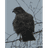 GRNZR emblem