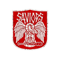 SA_VI emblem