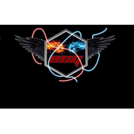 -ECG- emblem