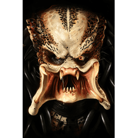 CS-P emblem