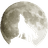 WWPRO emblem