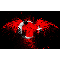 INAN emblem
