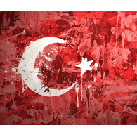 TURK6 emblem