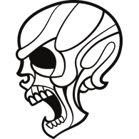 13ST emblem