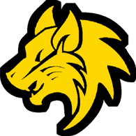UAFFA emblem
