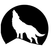 FT-X emblem