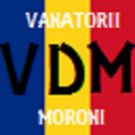 -VDM- emblem
