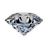 SNACH emblem