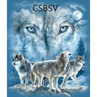 CSBSV emblem