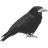 VRANA emblem