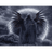 _AYS_ emblem