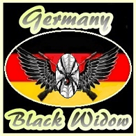 -DSW- emblem